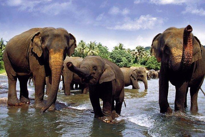 Sri Lanka at a Glance ( 09 N/ 10D)