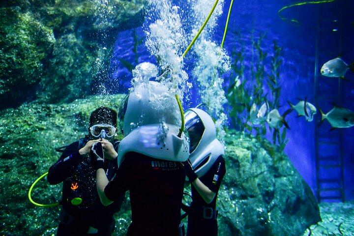 Blue Lagoon Bali Snorkeling — All-Inclusive Tour with Lunch