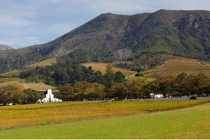 Constantia Hidden Gem Cycle Half Day - Private Tour