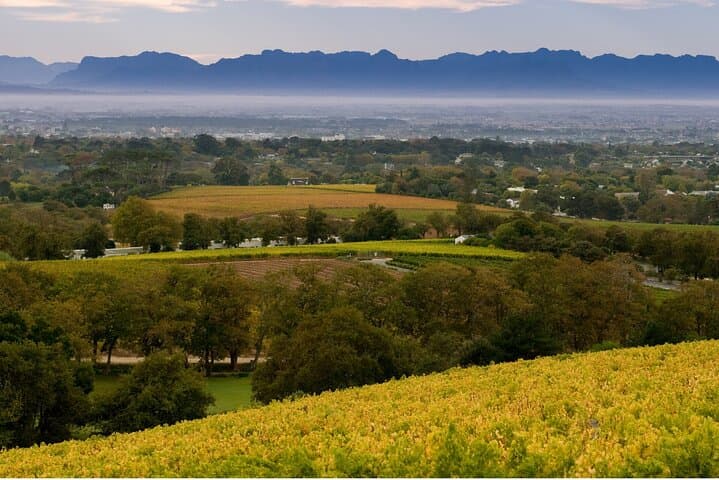 Constantia Hidden Gem Cycle Half Day - Private Tour