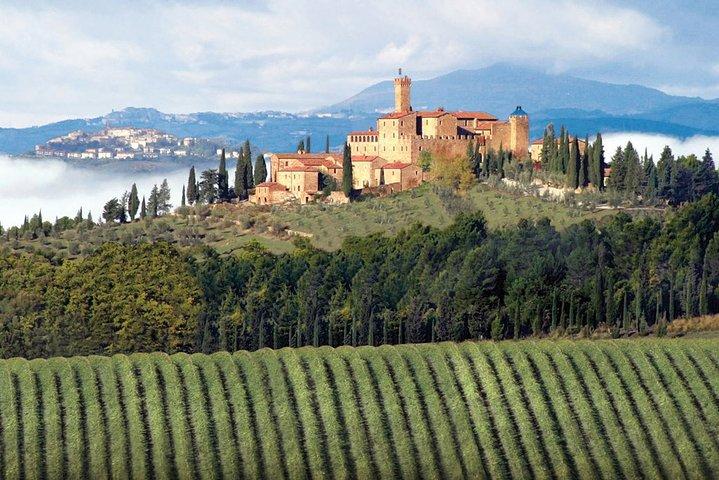 PRIVATE Full-Day Brunello Wine with lunch from Florence