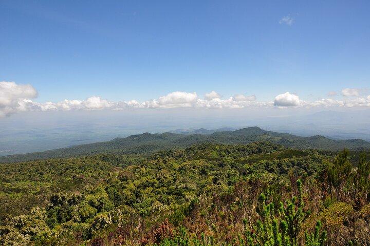 Mt. Kilimanjaro Day Trip Trek on Marangu Route