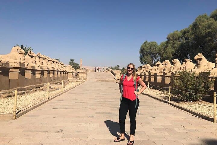 Private Half-Day Tour to Karnak and Luxor Temple with a Guide