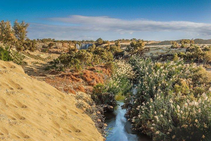 Fayoum Oasis Tour to Karanis, Qarun Lake, Wadi El Rian Waterfalls