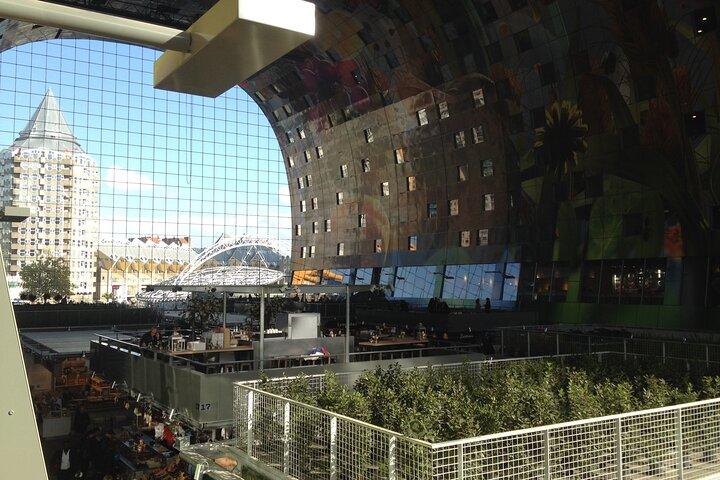 Private architecture tour of Rotterdam