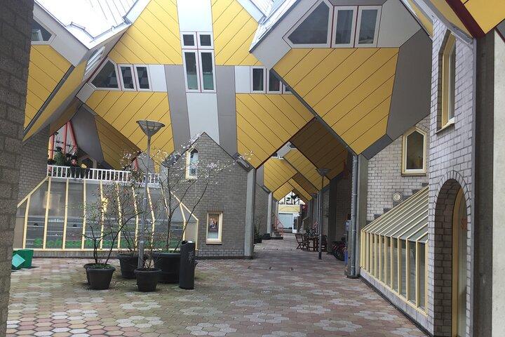 Private architecture tour of Rotterdam