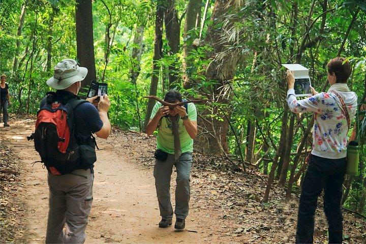 Udawattakele Forest Reserve Hiking Tour in Kandy
