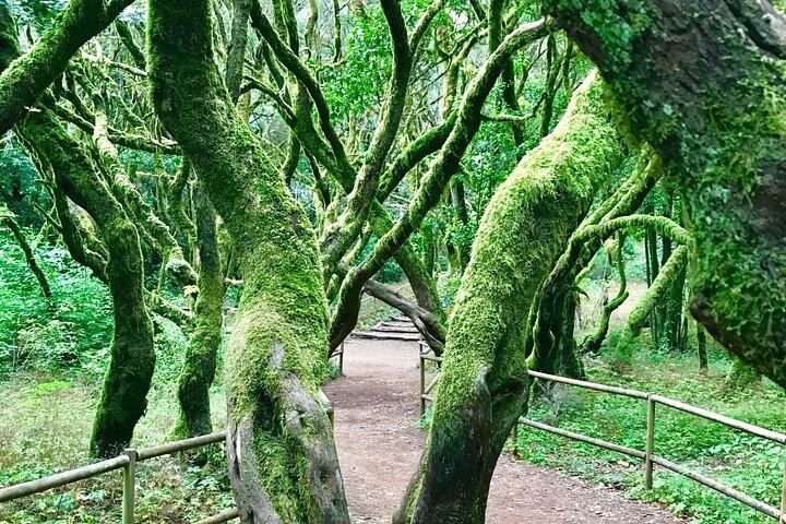 La Gomera from Tenerife : small group max. 18 people