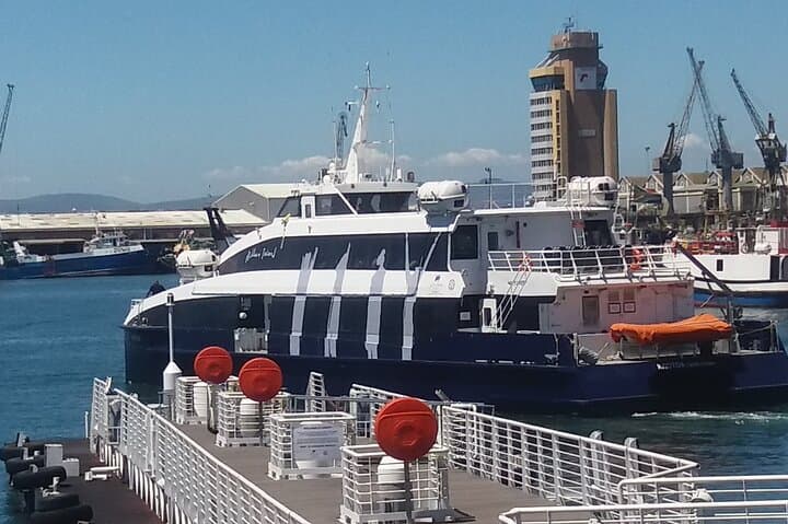 Robben Island Guided Tour plus Hotel Pickup Half Day