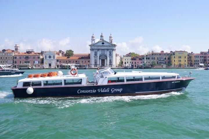 1-hour panoramic tour of Venice by boat
