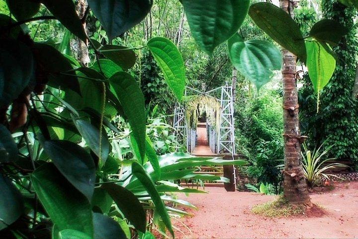 Spice Garden Visit and Cookery Demonstration from Pinnawala