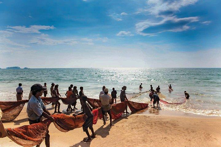 Coastal Ride to Galle from Panadura