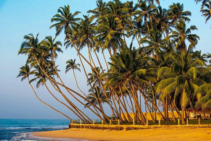 Coastal Ride to Galle from Panadura