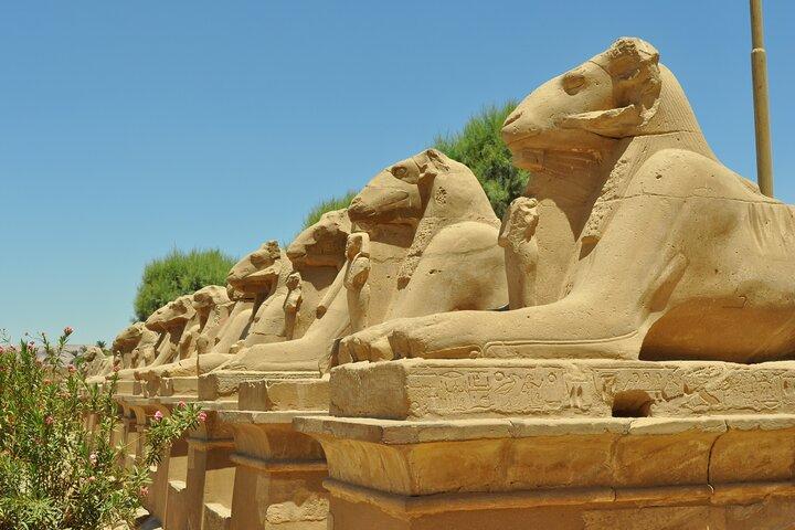 Cairo Giza and Luxor in Two Days in including Domestic flight