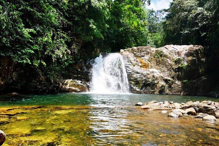 Sinharaja Rain Forest Tour from Tangalle