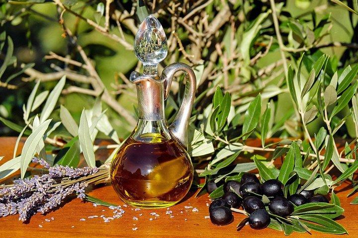 Ancient Olympia & Magna Grecia Farm Experience with Tastings