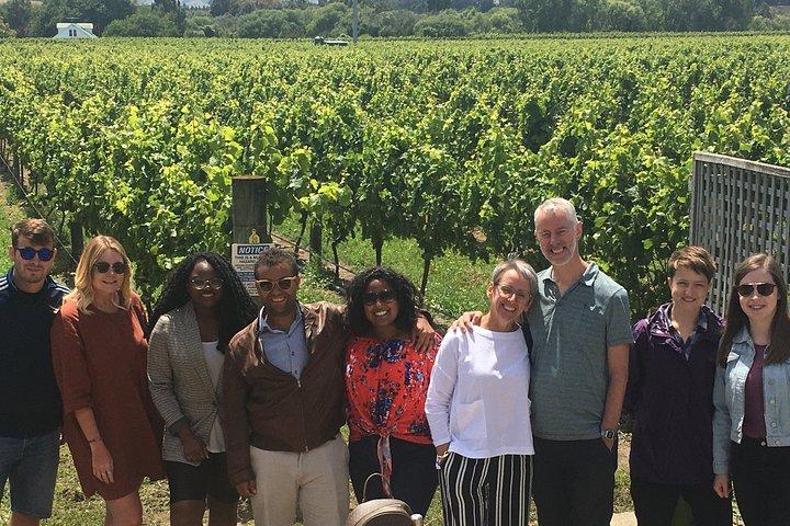 Martinborough Foodie Half Day Tour from Wellington