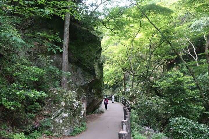 Minoh Waterfall and nature walk through the Minoh Park