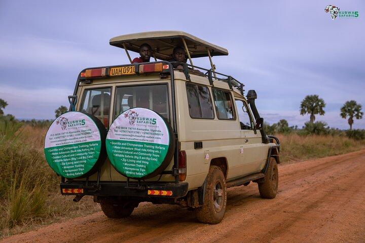 3 Days Wild Tour Queen Elizabeth National Park Safari Uganda