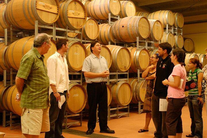 Hunter Valley All Inclusive Boutique Wine Tour from Sydney