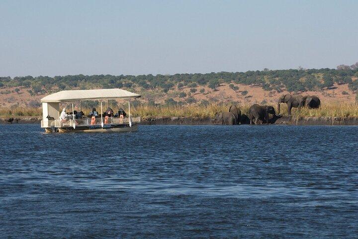 Chobe Day Trip