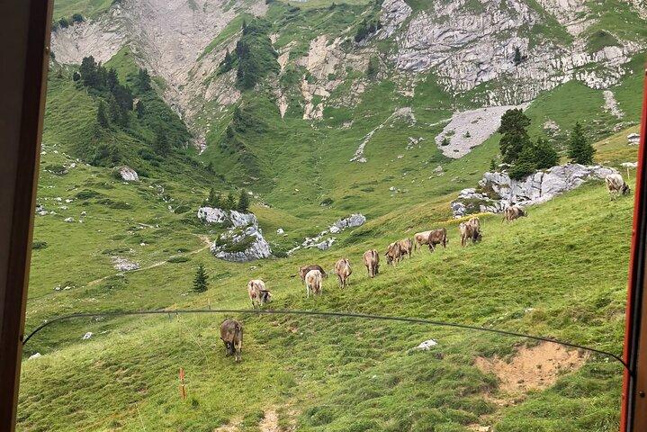 Mt. Pilatus & Lake Lucerne Cruise Private Tour | From Lucerne