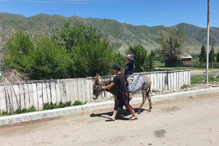 Almaty Region 3 Days Tour from Almaty