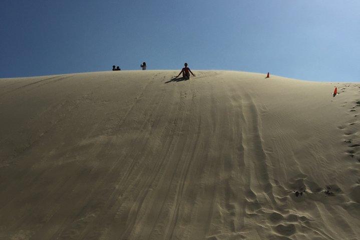 Port Stephens Private Tour From Sydney, with Dolphin/ Whale Cruise Options
