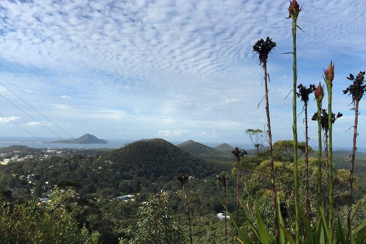 Port Stephens Private Tour From Sydney, with Dolphin/ Whale Cruise Options