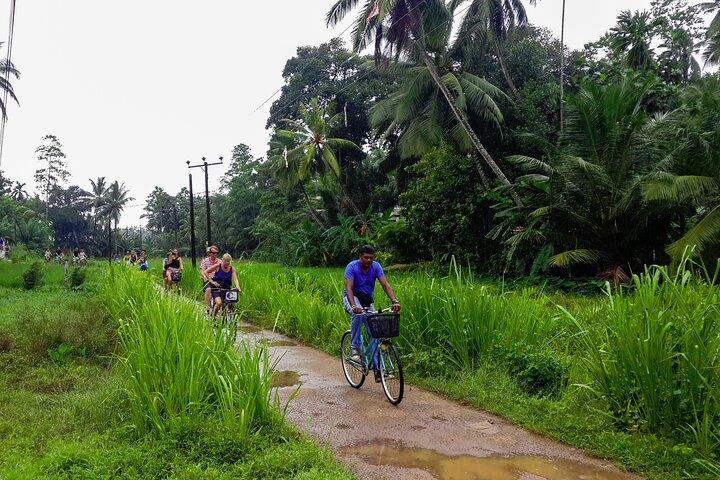 Lagoon Village by Bicycle from Galle