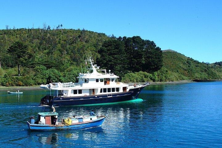 Sightseeing Tour in Puerto Varas & Puerto Montt