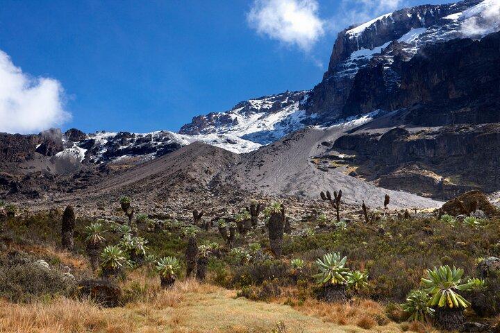 7-Day Private Kilimanjaro Hiking Tour via Machame from Arusha