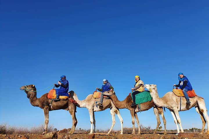 Marrakesh: Agafay Desert Tour with Lunch and Camel Ride