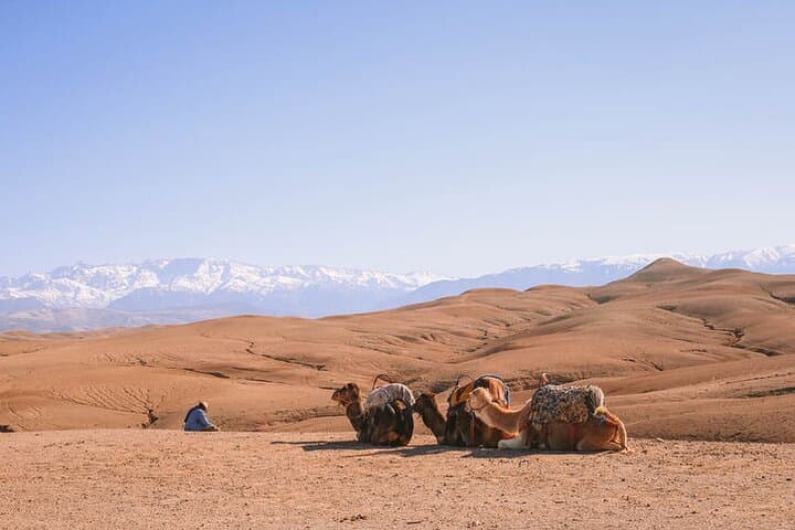 Marrakesh: Agafay Desert Tour with Lunch and Camel Ride