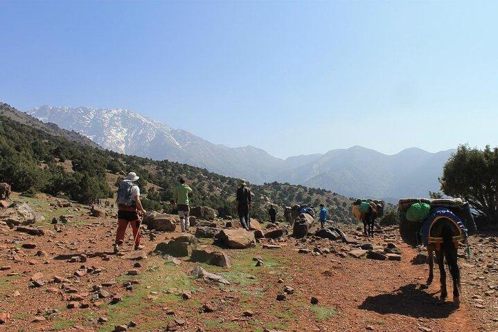 2 Day Trek Atlas Mountains and Overnight Stay In A Berber Village