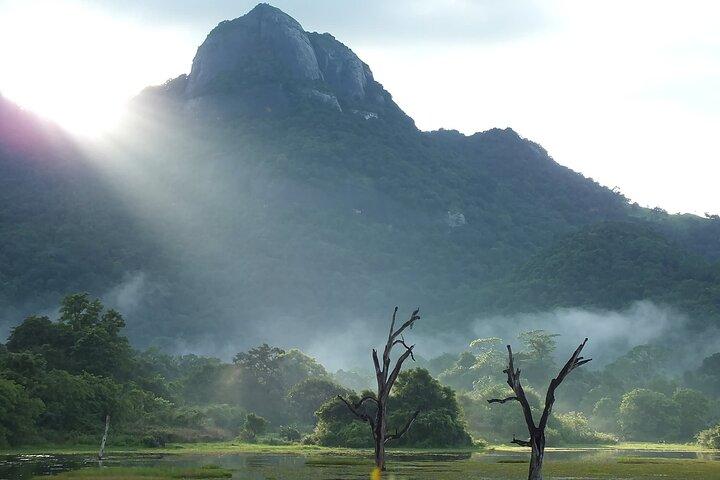 Gal Oya National Park | Private Safari