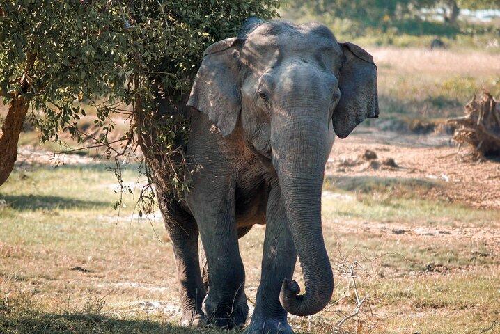 Gal Oya National Park | Private Safari