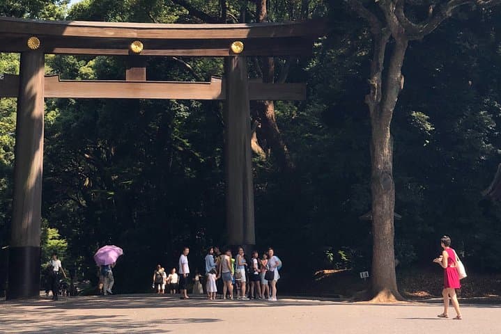 Tokyo Half-day Customized Private Tour