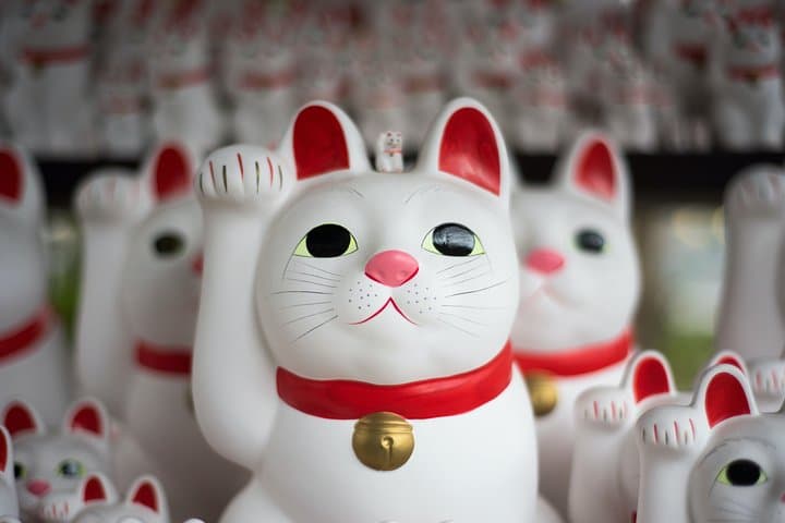 Tokyo 6 hours Customized Private Tour