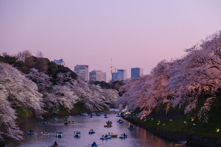 Tokyo 6 hours Customized Private Tour