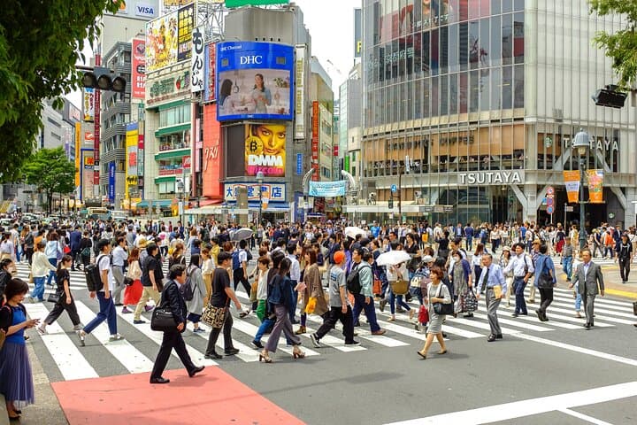 Tokyo Half-day Customized Private Tour