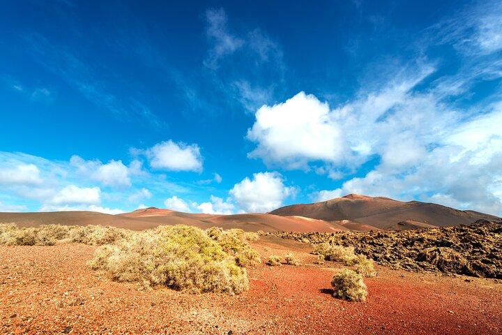 Timanfaya & Lanzarote Volcano Experience