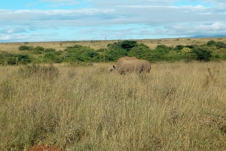 Kenya safari