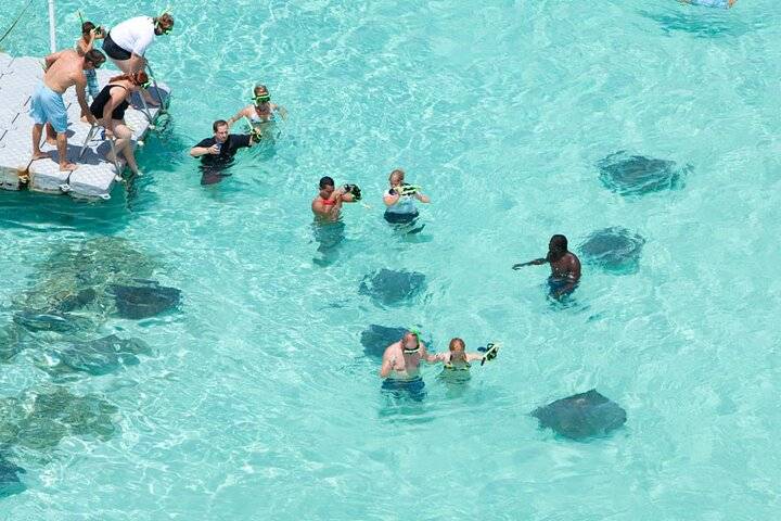Stingray City, St Johns