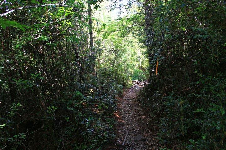 6-Day 360 Degree Sagala Trek