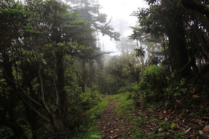 6-Day 360 Degree Sagala Trek