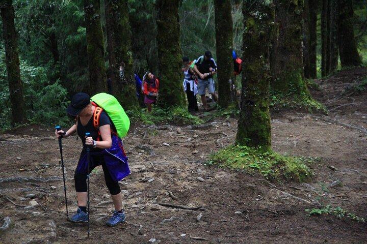 6-Day 360 Degree Sagala Trek