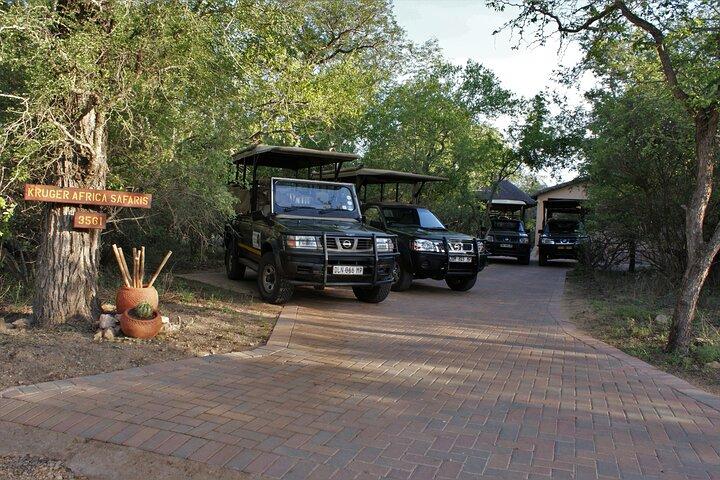 Fullday Gamedrives in Kruger National Park from Marlothpark