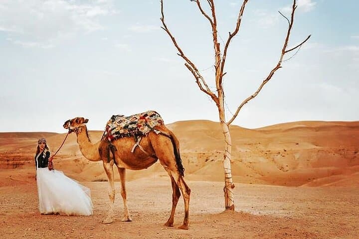 Agafay Desert and Atlas Mountains Day Tour