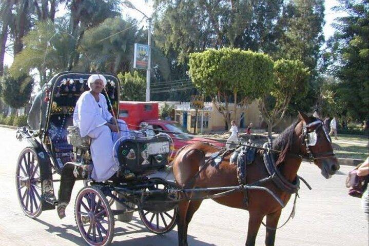 Luxor City Tour By Horse Carriage From West Bank
